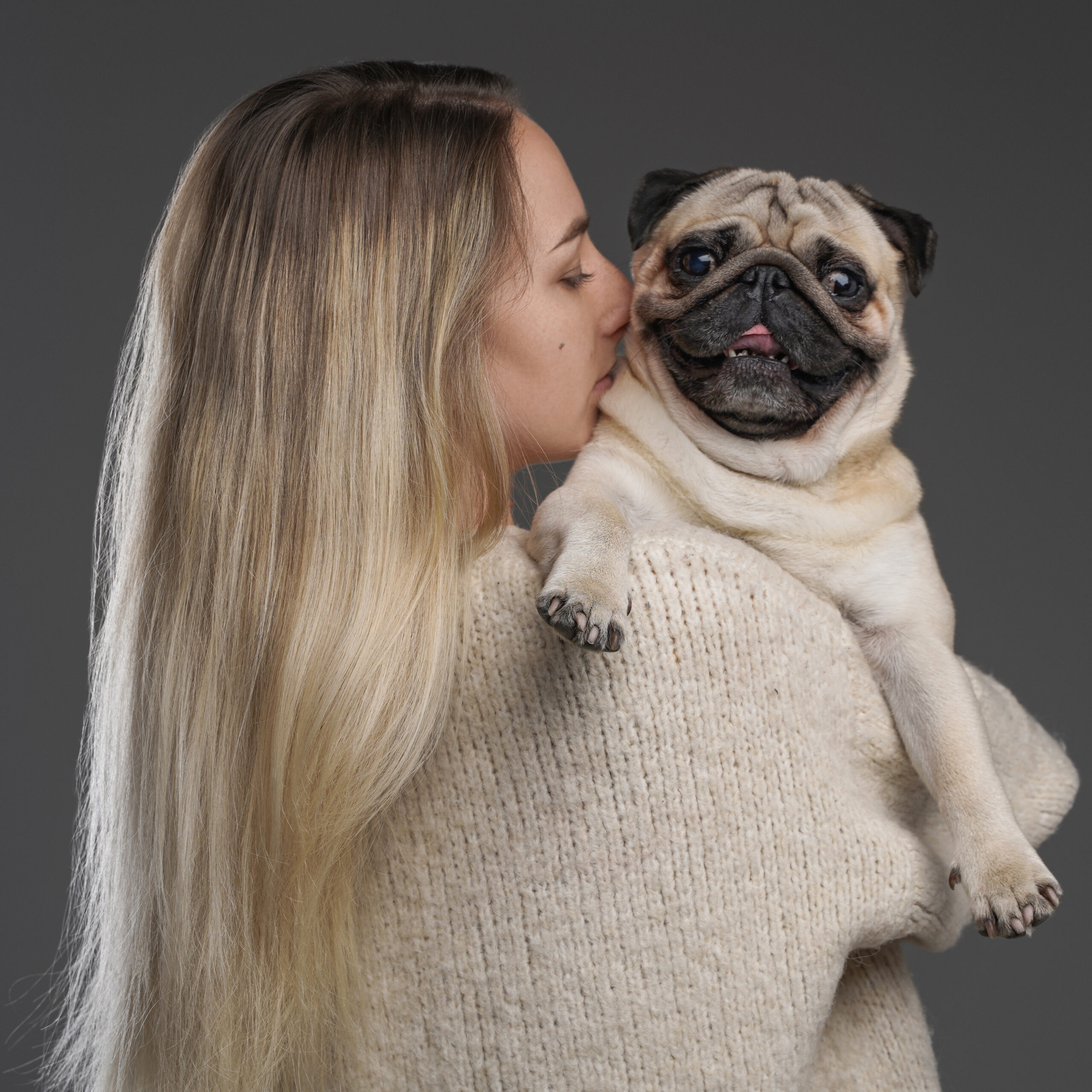 Studio shot of blond haired woman hugging her adorable little pug dog against gray background.