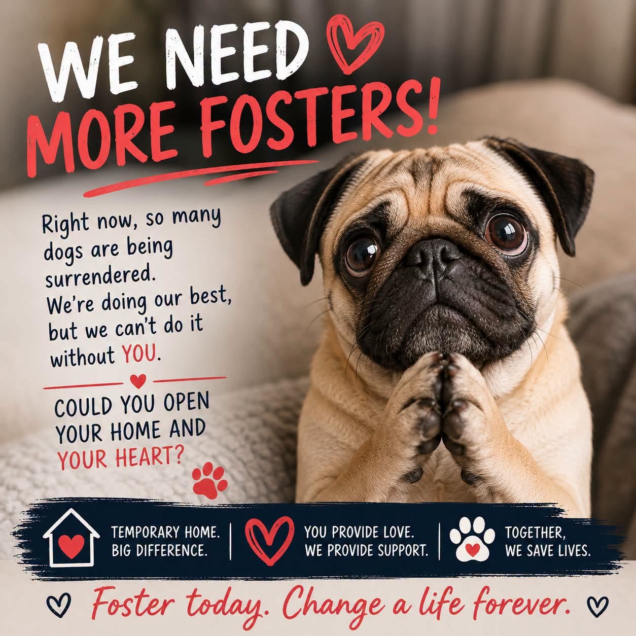 fostersfb